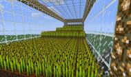 Wheat is one of Minecraft's easiest crops to grow (Image via Mojang)